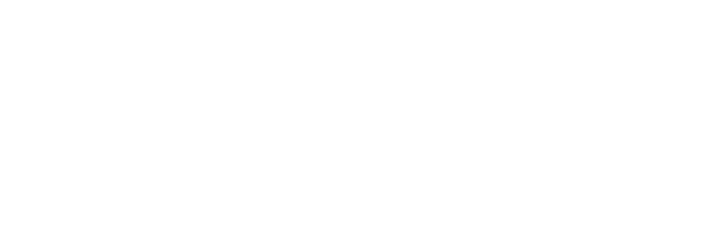 ST2-Pro logo