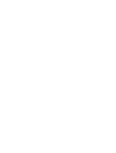 Trinnov Logo In White